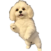 fluffy dog gazing at viewer sticker