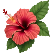 hibiscus  sticker