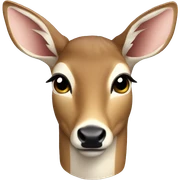 Doe  sticker