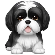 Black and white shih tzu sticker