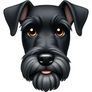 Black schnauzer  sticker