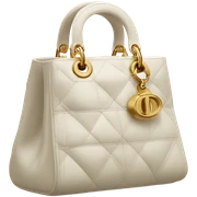 Dior purse sticker