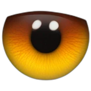 dragon eye sticker