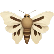 Moth sticker