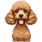 Light brown Poodle sticker