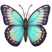 Butterfly  sticker
