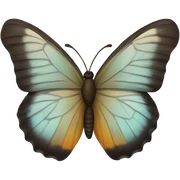 butterfly sticker