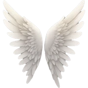 wing sticker