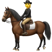 Horse with rider sticker