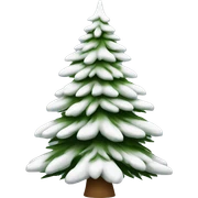  actual white fir christmas tree isolated.  sticker