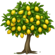 lemon tree sticker