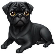 Black pug sticker