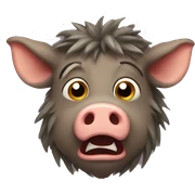 Shocked boar sticker
