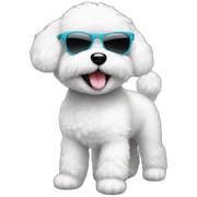A happy bichon who wears sunglasses sticker