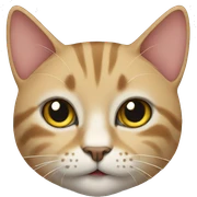 Cat sticker