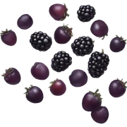 blackberry sticker
