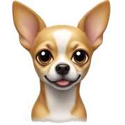 Chihuahua sticker