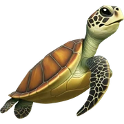 sea turtle sticker