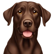 chocolate lab sticker