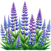 lupines sticker