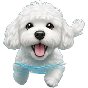 Bichon frisé swimming sticker