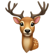 deer sticker