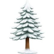  actual white fir christmas tree isolated.  sticker