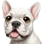French bulldog Merle colour  sticker