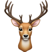 Deer sticker