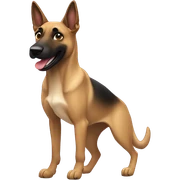 malinois qui danse  sticker