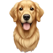 Golden retriever  sticker