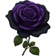 Black rose sticker