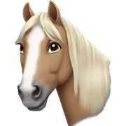 Horse sticker