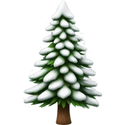  actual white fir christmas tree isolated.  sticker
