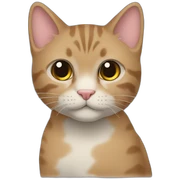 gato color tabi sticker
