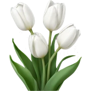 White tulips sticker