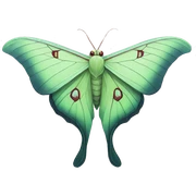 Luna Moth sticker