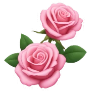 pink roses  sticker