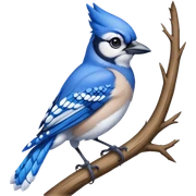 Ultra realistic detailed beautiful Blue Jay in tree sticker