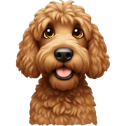 Brown springadoodle sticker