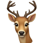 deer sticker
