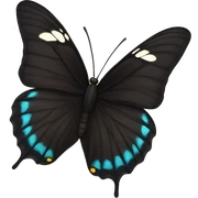 black butterfly sticker