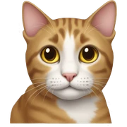 Cat sticker