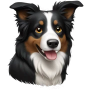 Border collie  sticker