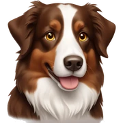 Brown border collie sticker