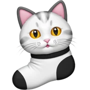 Gatto calzino sticker