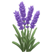 Lavender sticker