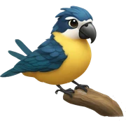 lazo coqueet sticker