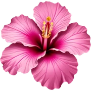 pink hibiscus sticker