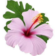 hibiscus  sticker
